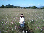 2010aki1.jpg
