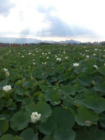 2012hna15.jpg