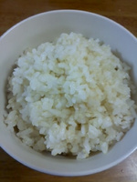 isehikari1.jpg
