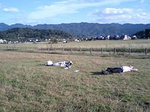 2010aki2.jpg