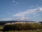 2010aki4.jpg