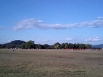 2010aki5.jpg