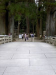2011kouya1.jpg