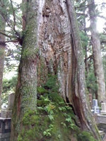2012kouya12.jpg
