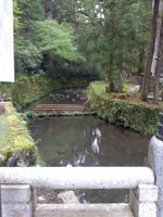 2012kouya5.jpg