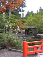2012kouya7.jpg