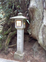 2012kouya8.jpg