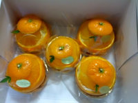 2012may5.jpg