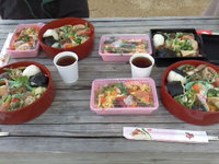 2012sakura3.jpg