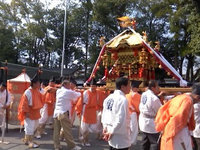 2012sakura7.jpg