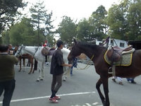 2012sakura8.jpg