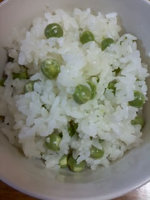 2012shizen9.jpg