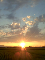 2015sun1.jpg