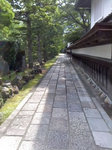 2011kouya13.jpg