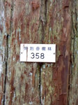 2011kouya6.jpg